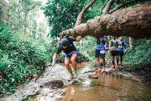 BIB: 
                            <button type="button" onclick="openModal(25375799)" class="btn btn-primary btn-sm float-right btn-popup" data-toggle="modal" data-target=".modal-high-quality">
                        <i class="fas fa-shopping-cart"></i> Add to Cart
                    </button>
                                            <button type="button" onclick="isThisMe(25375799, true)" class="btn btn-success btn-sm float-right btn-popup btn-isme hidden" data-toggle="tooltip" data-placement="bottom" title="นี่คือรูปของคุณใช่ไหม คลิกที่นี่เพื่อเอาเข้าอัลบั้ม">
                        <i class="fas fa-plus"></i> Add to album
                    </button>
                    <button type="button" onclick="isThisMe(25375799, false)" class="btn btn-warning btn-sm float-right btn-popup btn-isnotme hidden">
                        <i class="fas fa-ban"></i> Remove from album
                    </button>